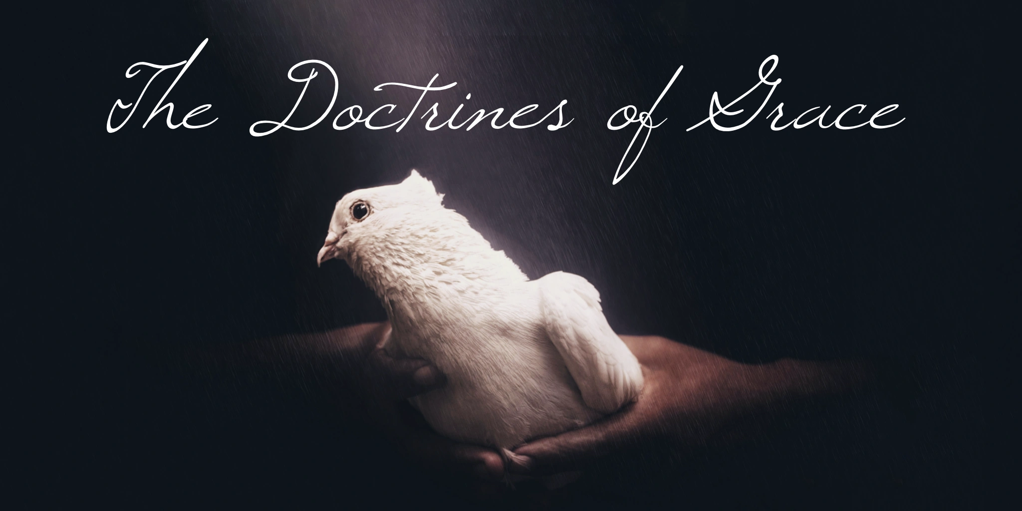 The Doctrines of Grace